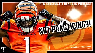 Bengals vs Patriots Preview the Latest on JaMarr Chases HoldIn [upl. by Nnaharas]