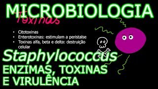 Aula Microbiologia Médica 8  Staphylococcus Enzimas Toxinas e Fatores de Virulência [upl. by Alhak]