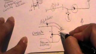 NEUROANATOMIA 20 TRACTOS ASCENDENTES DE LA MEDULA ESPINAL DOLOR 2 [upl. by Felty]