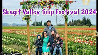 Skagit Valley Tulip Festival 2024  La Conner Washington annadkins skagitvalley [upl. by Teresina]