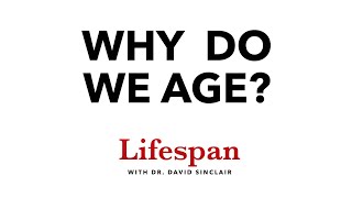 The Science Behind Why We Age  Lifespan with Dr David Sinclair 1 [upl. by Drabeck]