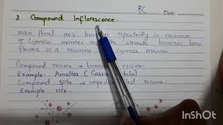 Inflorescence Recemose Cymose and Compound Class 11 Chapter Diversity among Plants [upl. by Marrilee]