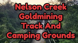 Nelson Creek Gold Mining track and camping grounds [upl. by Namus]