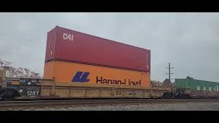 Norfolk Southern intermodal [upl. by Ursula]