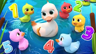 5 Little DucksLearn Colors Song  Lalafun Nursery Rhymes amp Kids Songs  cocomelon [upl. by Heindrick]