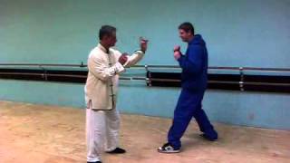 Silat vs BJJ [upl. by Ridinger690]