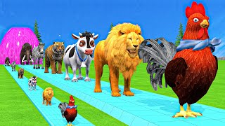 Paint amp Animals CowGorillaElephantGiraffeTigerLion Fountain Crossing Transformation Cartoon [upl. by Nediarb725]