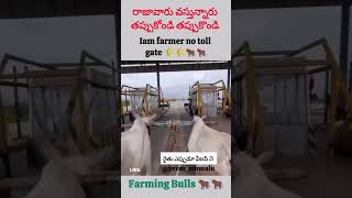 Iam farmer no toll gate 🌾🌾🐂🐂 [upl. by Siwel]