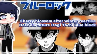 Cherry blossom after winter reaction Haebom future Isagi Yoichi Blue BlockMy auNot part [upl. by Nymsaj]