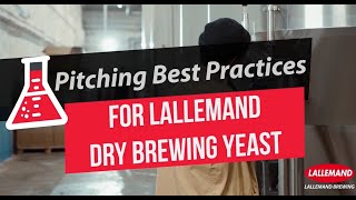 Pitching Best Practices for Lallemand Dry Brewing Yeast [upl. by Dumanian]