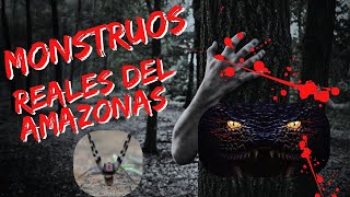 Los animales más peligrosos del Amazonas faunasalvaje sabiasque terror animales [upl. by Ayn]