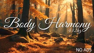 Body Harmony 432Hz ♪ Musique for massages and relaxation 1H no ads [upl. by Ginnifer]