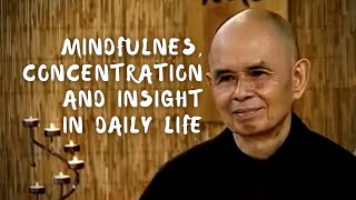 Practicing with Unpleasant Emotions  Thich Nhat Hanh [upl. by Nalla]