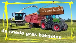 67 4e snede gras harken hakselen en inkuilen  nieuwe weidemann shovel [upl. by Uriia]