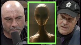 Dan Aykroyds Ghostly Encounter  Joe Rogan [upl. by Aser]