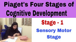 P12 Sensory Motor Stage  Piaget’s Four Stages Of Cognitive Development [upl. by Nylatsirk]