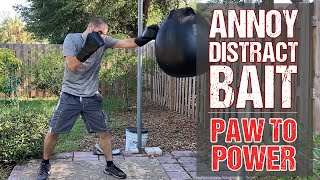 Annoy Distract Bait Then Hit These 3 Power Punches from Pawing Jabs Boxing MMA Fighting [upl. by Esbenshade414]