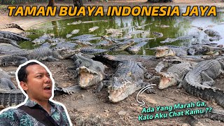 NENGOKIN HABITAT LELAKI BUAYA DARAT 🤣  TAMAN BUAYA INDONESIA JAYA [upl. by Acira]