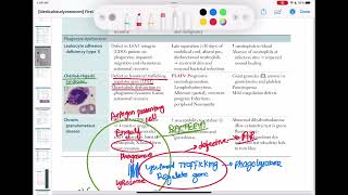 chediak higashi syndrome immunology 56  First Aid USMLE Step 1 in UrduHindi [upl. by Noami]