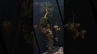 Viral‼️ 4 project bonsai avatar imagination by galihprapen [upl. by Haridan]