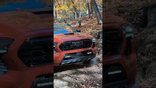 Toyota Tacoma Trailhunter and TRD Pro on the Trail [upl. by Imhskal]