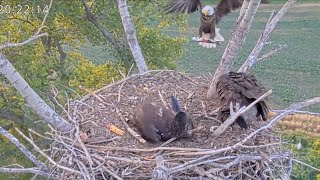 Kansas Eagles 52924 Harvey Delivers a Late Dinner Fish Wichita amp Cheyenne Share 😉 STEAL [upl. by Aiynot154]