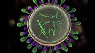 Science Today Virus Mutation  California Academy of Sciences [upl. by Letizia715]