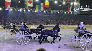 Friesian Quadrille at 2023 Friesian show in Leeuwarden Holland [upl. by Hoo]