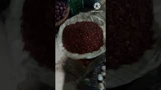 Palwal Sabji mandi Rate sabji ka bhav short shorts shortfeed Youtube  viral [upl. by Aisemaj542]