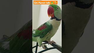 Parrot talk about calling 🥰😍🦜short viral youtubeshorts [upl. by Nalyr109]