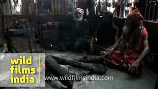 Mysterious Hindu sect conducts a strange evil ritual [upl. by Harbird]