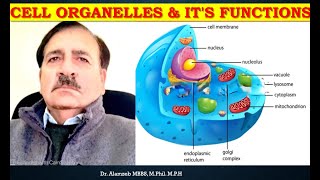 Cell Organelles amp its functions  Lectures by Dr Alamzeb [upl. by Franciskus]