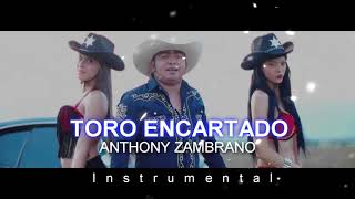 KARAOKE TORO ENCARTADO ANTHONY ZAMBRANO [upl. by Aldon588]