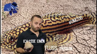 Ich lege einen FLUSS trocken TAX [upl. by Drofnats112]