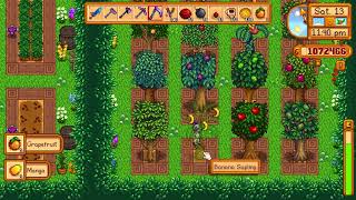 Stardew Valley  16 Playthrough with Mods  Day 13 of Winter Year 4 [upl. by Aiksa]