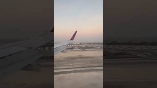 Plane landing in Doha’s Hamad International Airport [upl. by Haidadej]