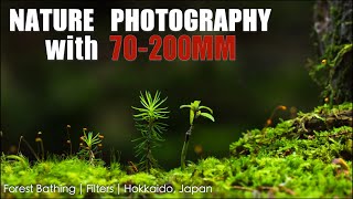 Photography in a Moss Corridor in Hokkaido Japan [upl. by Lotz205]