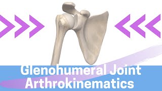 Shoulder Kinesiology Glenohumeral Joint Movement [upl. by Salaidh792]