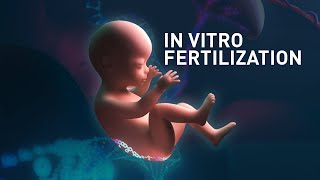 IVF has no detrimental effect on the genome of fetal and placenta lineages  Medical Animation [upl. by Nalaf]