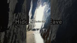 Hidden Sea Cave  Santa Cruz California ☀️🤯 shorts nature [upl. by Lenora]