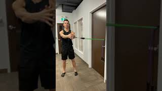 Torso Rotation with Resistance Bands  Home Workout [upl. by Francie314]