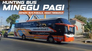 EMANG BOLEH SEGANTENG INI BUS ROSALIA INDAH TERBARU LEGACY SR3 NEO [upl. by Henrion]