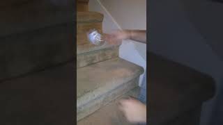 Bottle flipping all the way up the stairs [upl. by Franky982]