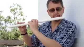 Tipple Flute Scales and Arpeggios in D G and Chromatic [upl. by Eytak]