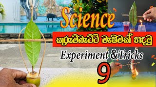 How to make Kurumbatti Mashima  කුරුම්බැට්ටි මැෂිමක් හදමු  experiment achcharu experiment [upl. by Eenimod]