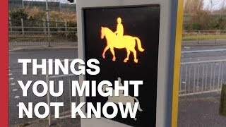 There Are Special Crossings For Horses In Britain [upl. by Anceline782]