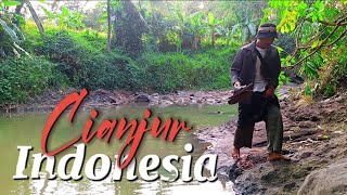 IRAMA SUNDA DALAM SUASANA KAMPUNG CIANJUR [upl. by Anehta654]