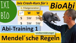 Mendelsche Regeln anwenden A  Kreuzungen auswerten zur Abiturvorbereitung – Unabhängigkeitsregel [upl. by Eisset]