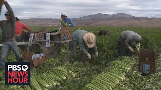 The US has a thirst for immigrant workers Why do so many struggle to get legal status [upl. by Notgnilra]