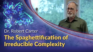 Dr Robert Carter  The Spaghettification of Irreducible Complexity [upl. by Niknar477]